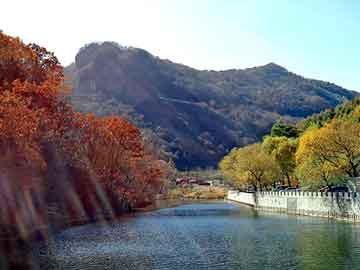 天天彩好彩天天免费，克山seo建站